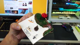 �����ォ��