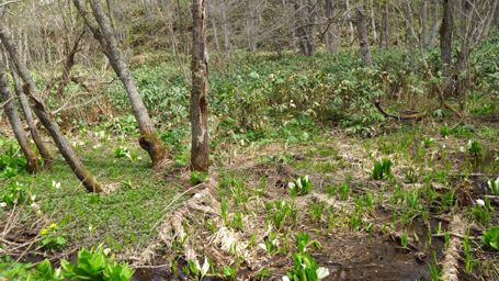 �~�Y�o�V���E