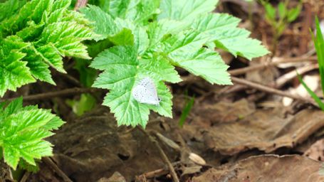 �����V�W�~