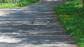 �J�������ԏ��