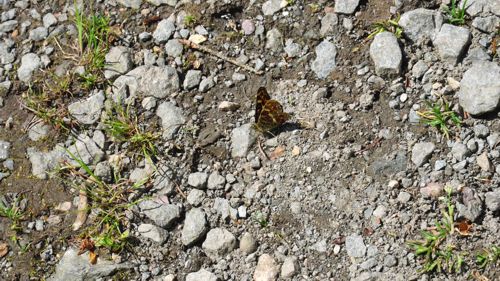 �T�J�n�`�`���E