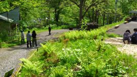 �G���g�����X