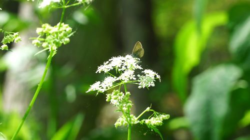 �~�܂��Ă���