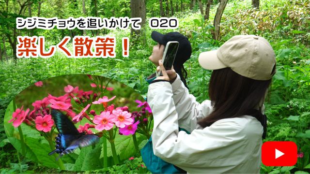 �y�����U��