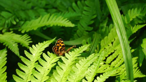 �T�J�n�`�`���E