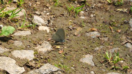 �V�W�~�`���E