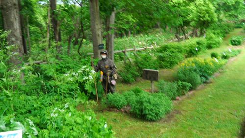 �C�b�R�E��������