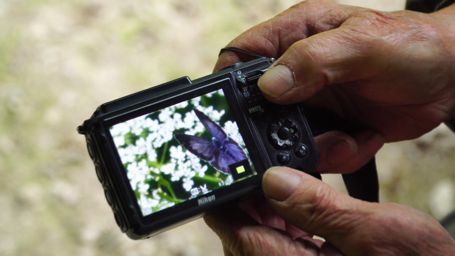 ����ł��B