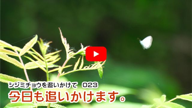 �������ǂ������܂��B