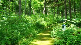 �k�M�쑐��