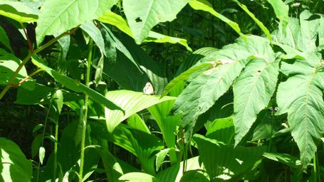 �V�W�~�`���E