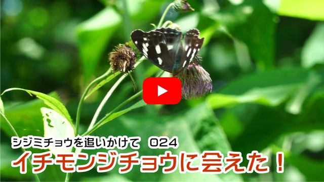 �C�`�����W�`���E�ɉ���I