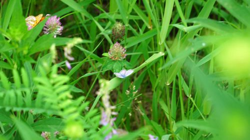 �����V�W�~