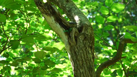 �쒹�����C