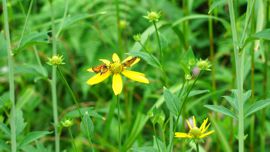 �Z�Z���`���E