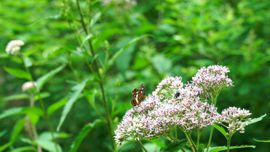 �T�J�n�`�`���E