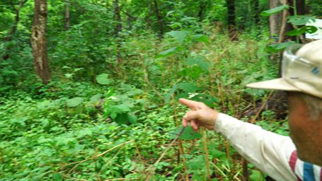 �������I