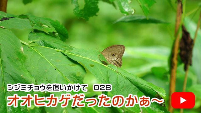 �I�I�q�J�Q�������̂����`