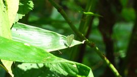 �V�W�~�`���E