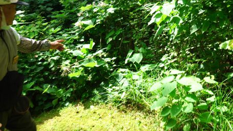 �C�b�R�E��������