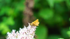 �Z�Z���`���E