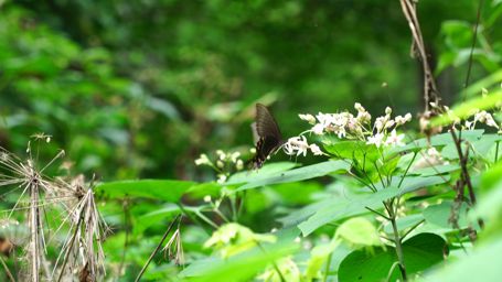 �~���}�J���X�A�Q�n