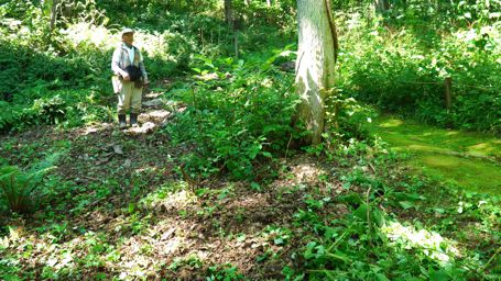 �C�b�R�E��������