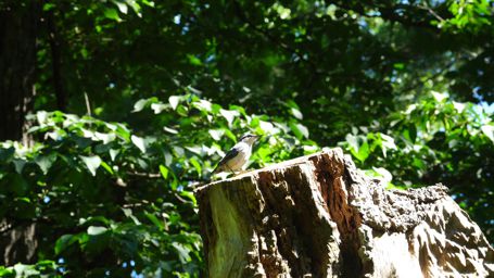 �S�W���E�J��