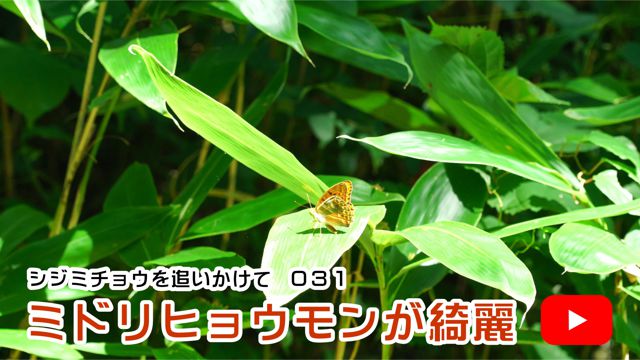 �~�h���q���E�������Y��