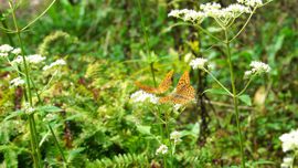 �q���E�����`���E