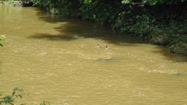 �I�T���b�y��