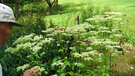 �C�b�R�E��������