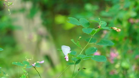 �����V�W�~