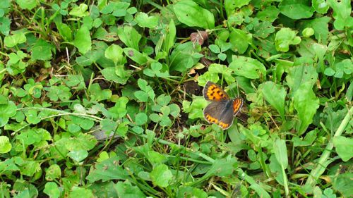 �x�j�V�W�~�`���E