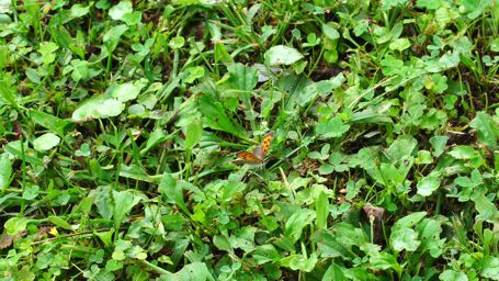 �x�j�V�W�~�`���E