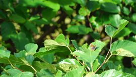 �x�j�V�W�~�`���E