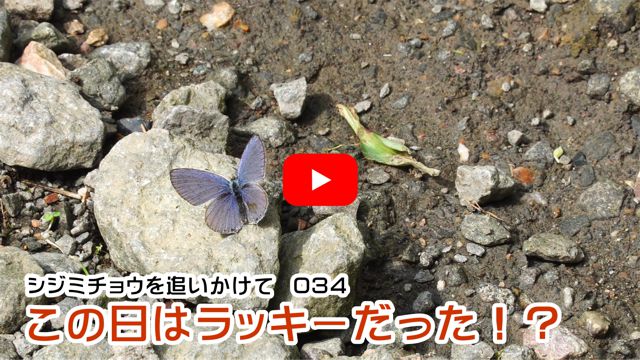 ���̓��̓��b�L�[�������I�H