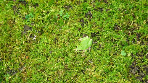 �A�}�K�G��