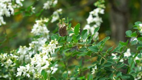 �q�J�Q�`���E