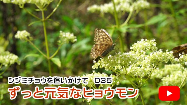 �����ƌ��C�ȃq���E����