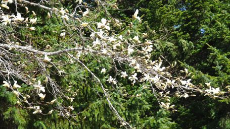 �L�^�R�u�V