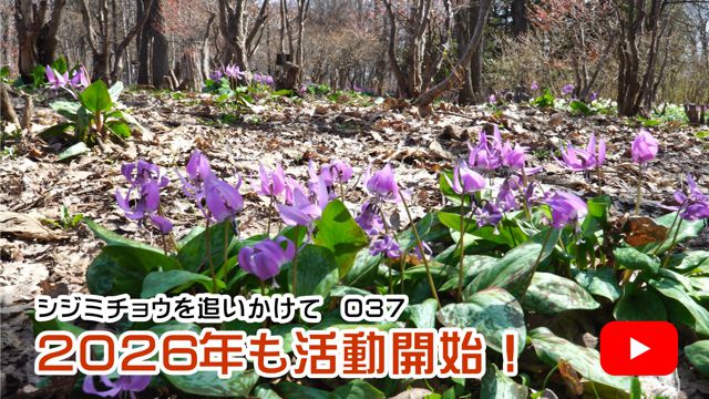 2026�N�������J�n�I