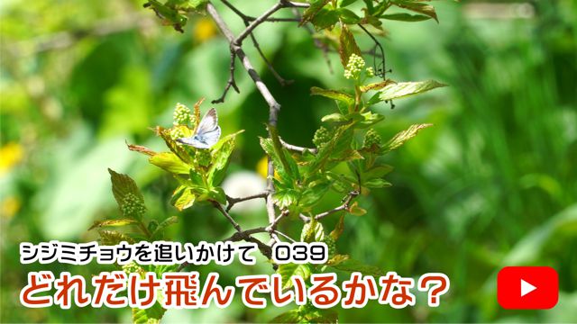 �ǂꂾ�����ł��邩�ȁH
