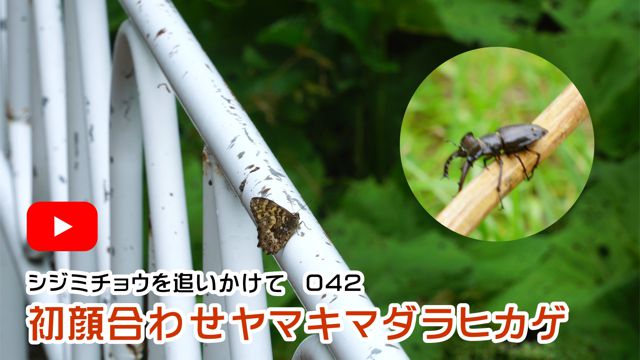 ���獇�킹���}�L�}�_���q�J�Q