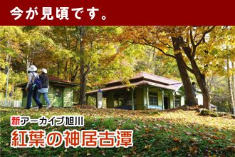 新アーカイブ旭川