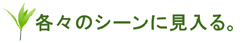 各々のシーンに見入る。
