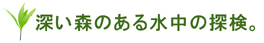 深い森のある水中の探検。