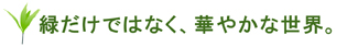 緑だけではなく、華やかな世界。