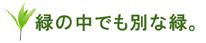 緑の中でも別な緑。