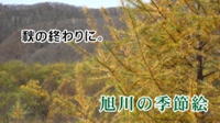 旭川の季節絵